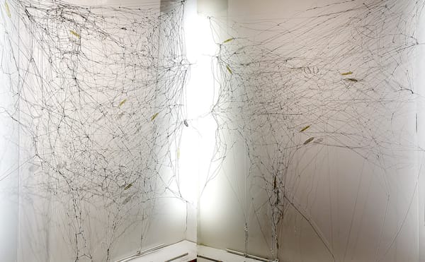 SVA's ContinuEd Project Space Presents Kathryn Hart: Searching