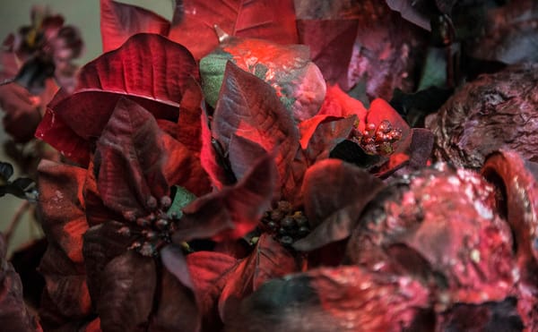 Hunter College Presents Part Two of Its Spring 2018 MFA Thesis Exhibition Through June 2