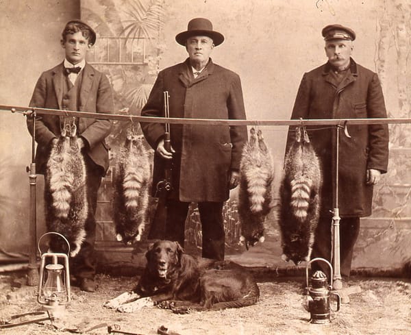 In the Land of Guns, Masculinity, Whiteness, and Power Are Often Inseparable