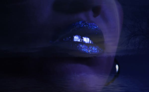 The Mexicali Biennial Honors Calafia, the Mythical Female Warrior