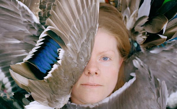 A Photographic Journey Across Iceland in Search of Magic