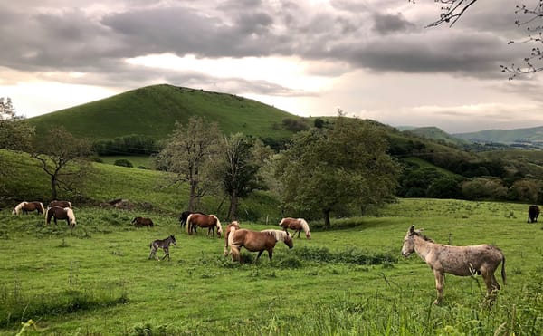 Living without Wifi (with Recipe)