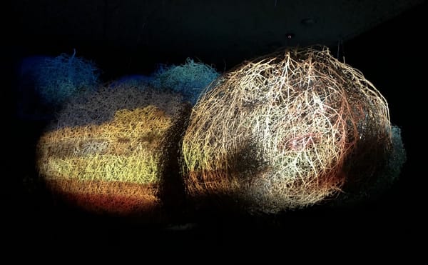 LA Artists Take Us from the Colonial Past to the Interstellar Future