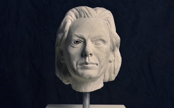 Mel Chin, "Aileen" (2015) (courtesy of the artist)