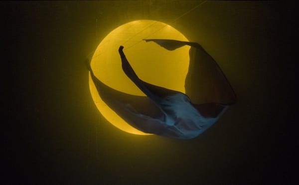 A Composer's Obsession Becomes an Underwater Wonder