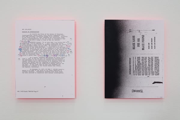 A Sordid Story of FBI Oppression Told Through Spray Paint, Glitter, and Toys