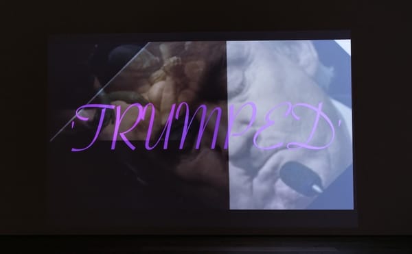 Michel Auder’s Images of Images