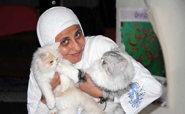 Israeli Court Sentences Palestinian Writer for Posting a Poem on Social Media