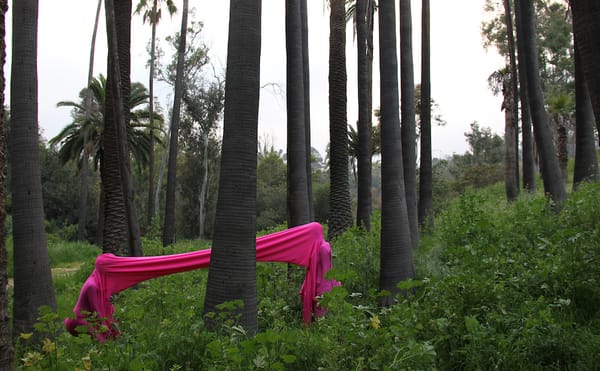 Expanding Our Definitions of Feminism, Gender, and Intersectionality