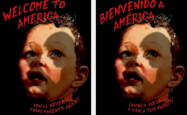 Graphic Reflections on the Sorry State of US Politics