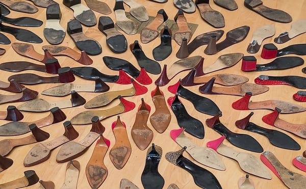 The Secret Lives of Discarded Things