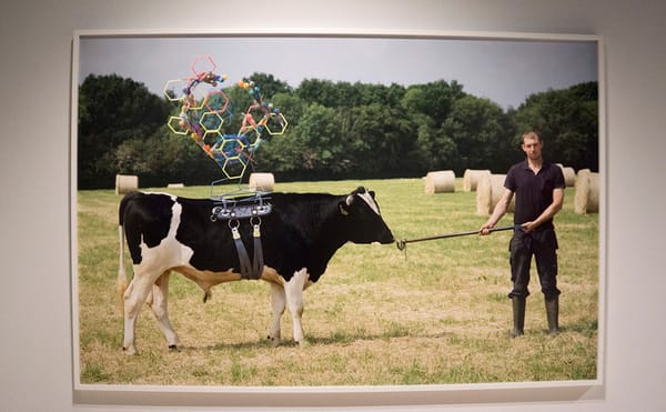 Artists and Scientists Concoct Immersive Projects at the Wellcome