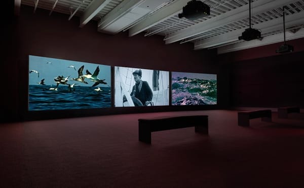 Making Room to Take In the Depth of John Akomfrah's "Vertigo Sea"