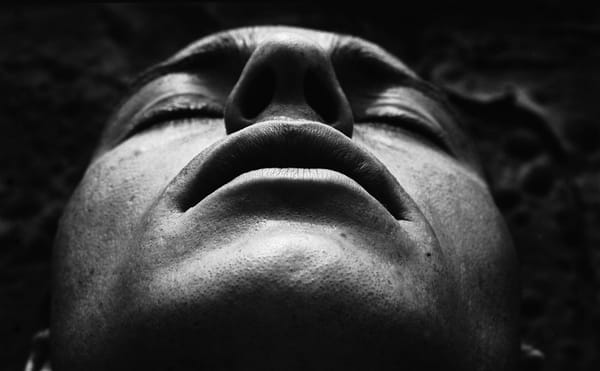 150 Phalluses in Feminist Art Today