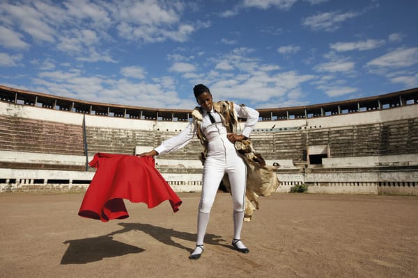 A New Curatorial Vision Disrupts Inherited Ideas of Regional Identity in African Art