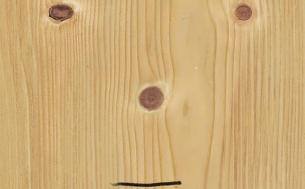 Open Doors and Wounds in David Sedaris's Calypso