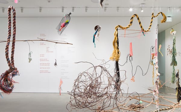 The Dazzling and Dooming Art of Cecilia Vicuña