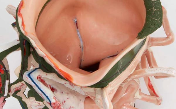 The Making of an American Original