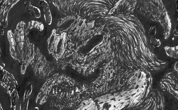 The Senate’s Sausage Factory