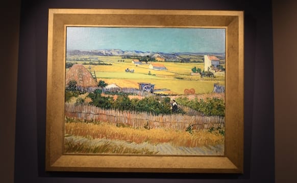3D van Gogh Paintings Are Selling at US Malls for Around $17,000