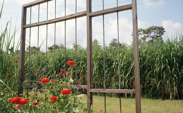 Artists Respond to the Criminal Justice System