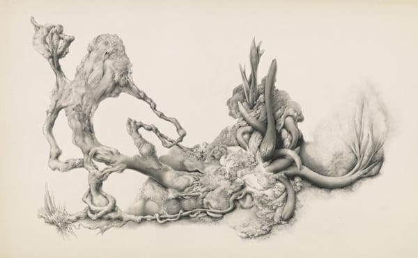 The Graphite Hallucinations of Gray Foy