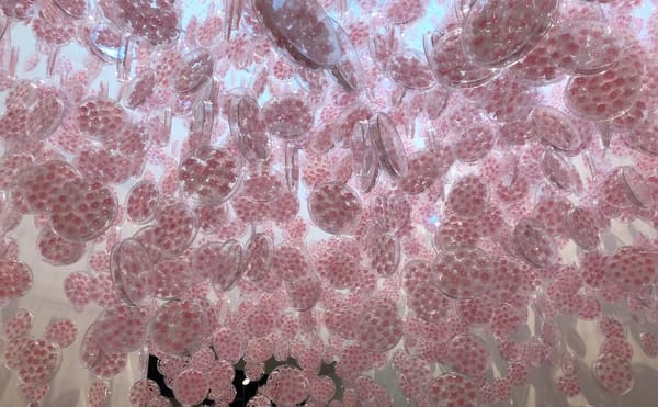 Two Poems by Todd Colby