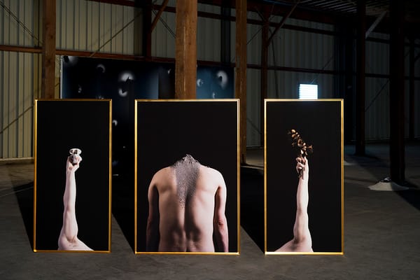 Peter Cochrane, Memento Vivere, 2018. Seen: triptych [archival pigment prints, gold leaf frames, 28”x58”(2) & 38”x58”]; is th