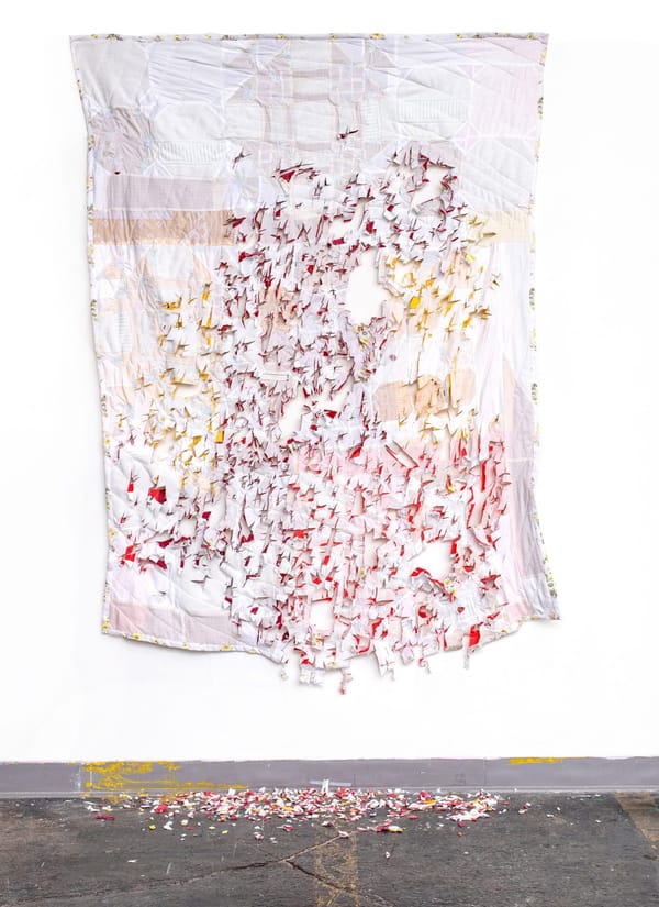 VCU MFA Student Marie Fornaro in Conversation with Department Chair Susie Ganch