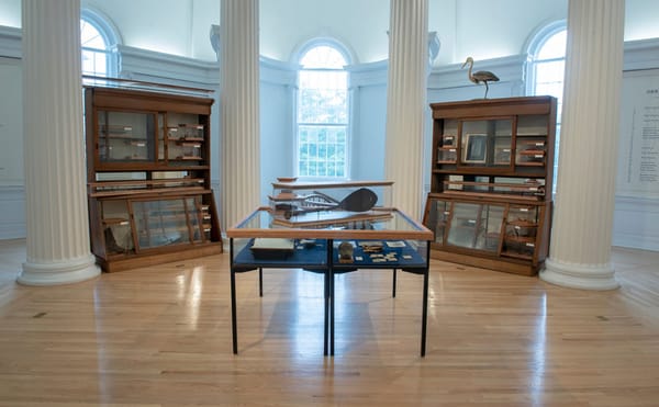 An Exhibition Critically Explores the History of Missionaries in Hawai'i