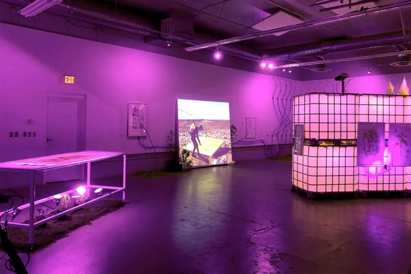 Explore the Chaos of the Visual World: A Call for Graduate Applications to the University at Buffalo