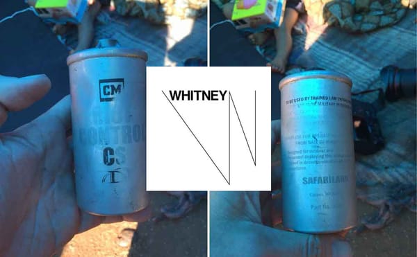 Whitney Museum Staffers Demand Answers After Vice Chair’s Relationship to Tear Gas Manufacturer Is Revealed