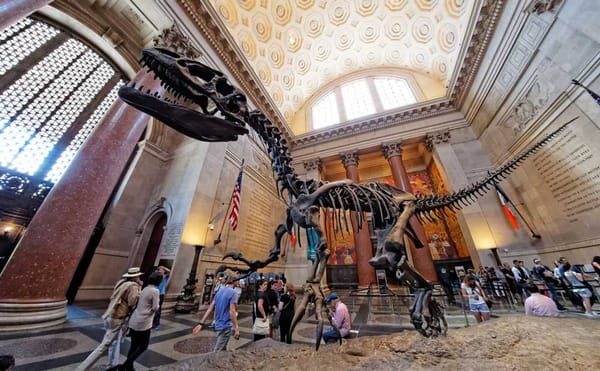 Judge Rules on Natural History Museum Expansion, Dismissing Community Lawsuit