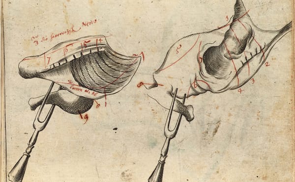 A Delectable Collection of Illustrated Gastronomy Books