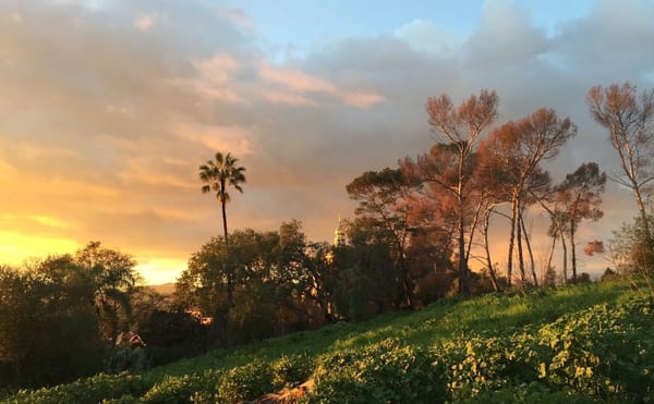 What Does It Mean to Be an LA Artist Today?