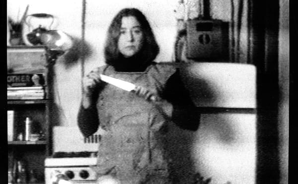 Martha Rosler’s Wicked and Welcome Sense of Humor