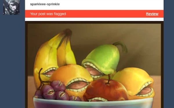 Tumblr’s New Adult Content Filter Thinks This Bowl of Fruit Is NSFW
