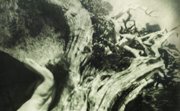 Anne Brigman’s Radical Nude Self-Portraits from the Early 1900s