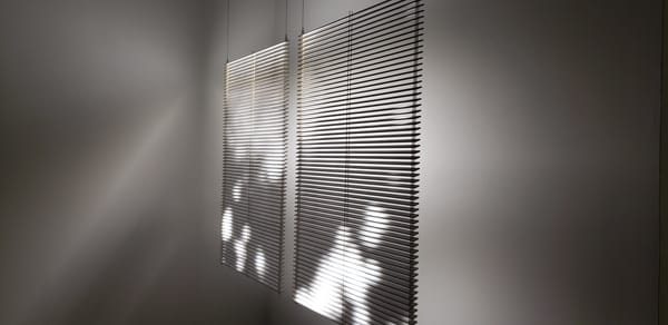 Mesmerized and Saddened by the Illusion of Sunlight