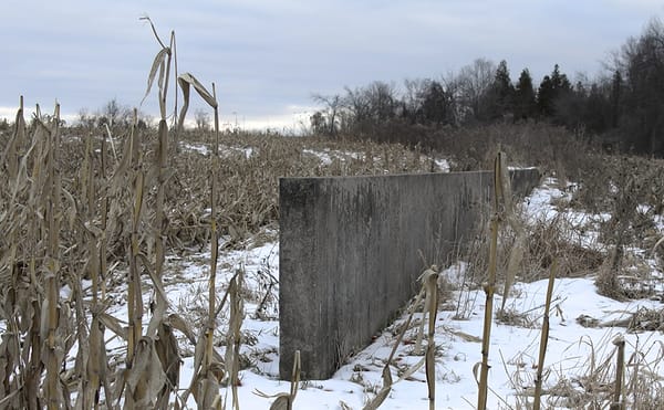 Discussing the Sculptures of Richard Serra with Hal Foster
