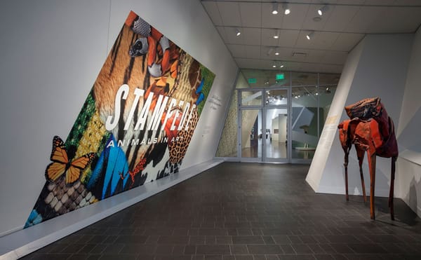 After Teen Smashes Artifacts at Denver Museum, Damages Estimate of $2M Turned Out to Be $100,000