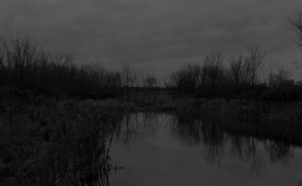 Dawoud Bey Enters the Imaginations of Freedom Seekers