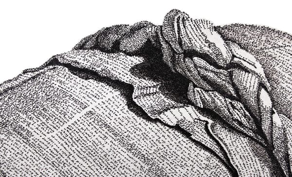 Contemporary Artists Reflect on Japanese Internment