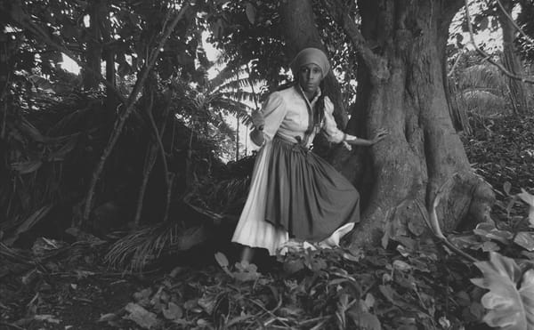 Harvard's Complicit History with Slavery