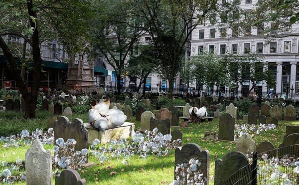 The Ghosts of Cotton in the American Landscape