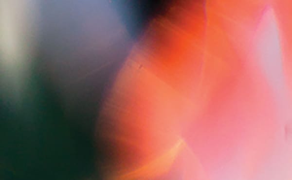 A Palestinian Poet’s Elegiac Musings on Exile and Neurosis