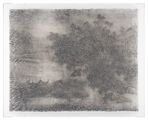 Seeing What the Fish Might See