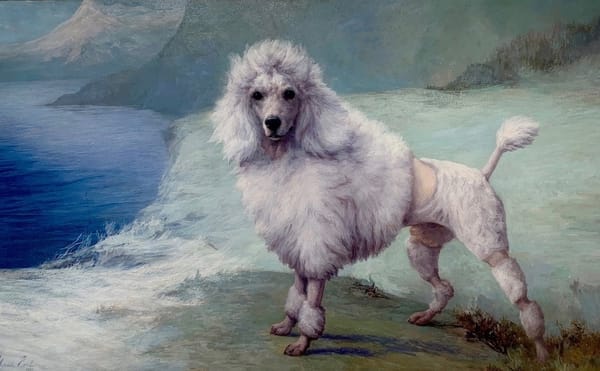 New York's New Museum of the Dog Is Serving Canine Realness Extravaganza