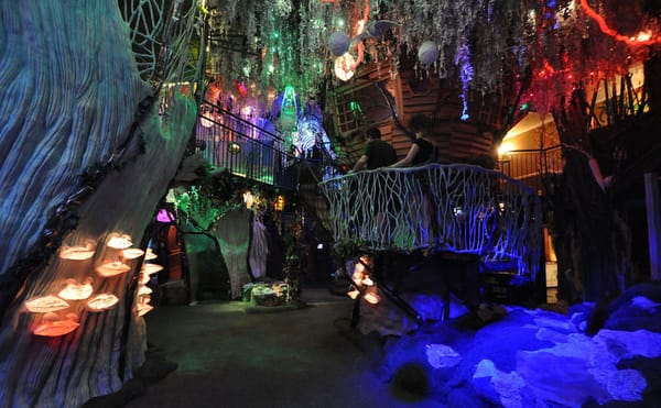 Why Meow Wolf Coming to Phoenix Is Worrisome