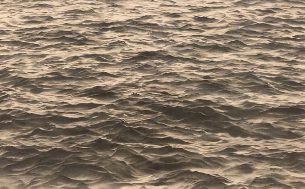 When Vija Celmins Holds the Shifting World Still